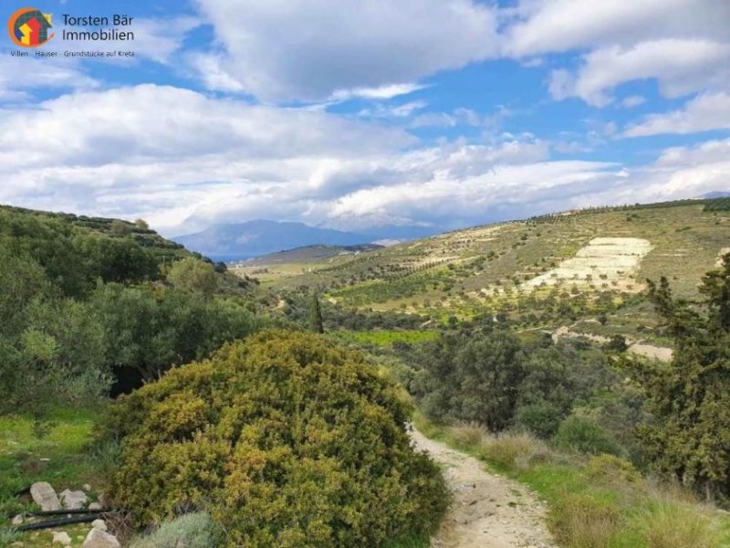 Pitsidia Süd Kreta, Pitsida Baugrundstück mit Meerblick ca.5500m² Grundstück kaufen